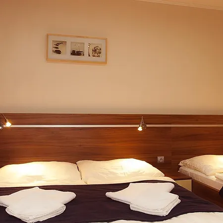 Fortune Guest house Dunajska Streda