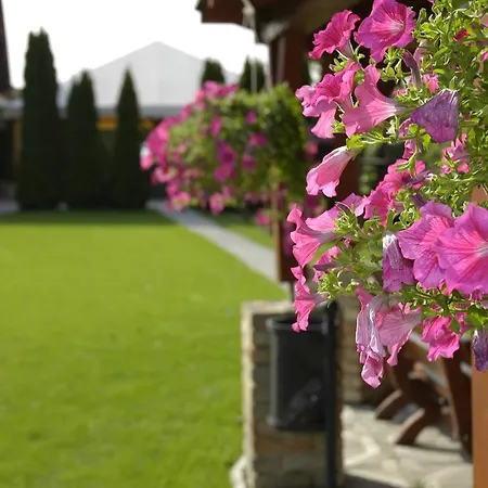 Fortune Guest house Dunajska Streda
